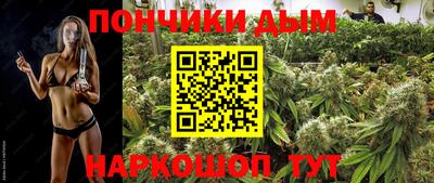 шишки Волгодонск