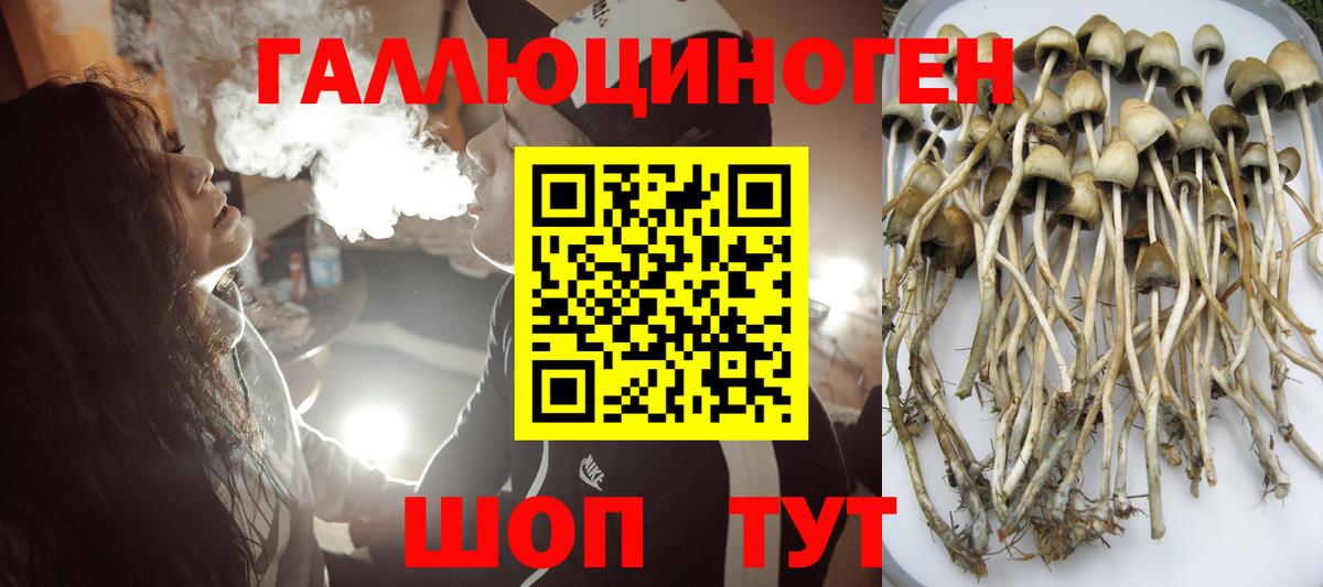 Галлюциногенные грибы мухоморы  Галлюциногенные грибы ЛСД  Вход с VPN  Можга 
